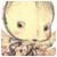 Joshuasteno
