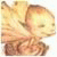 Kiethtef