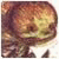 LutherTom