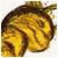 WillisVob